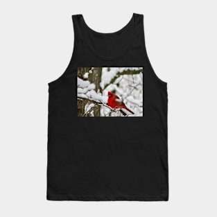 Winter Cardinal 2 Tank Top